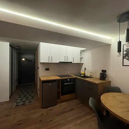 Apartmán M1 W Centrum Wiela *